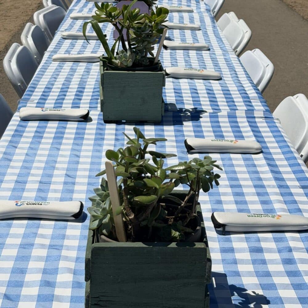 Succulents on tables at Dam Dinner