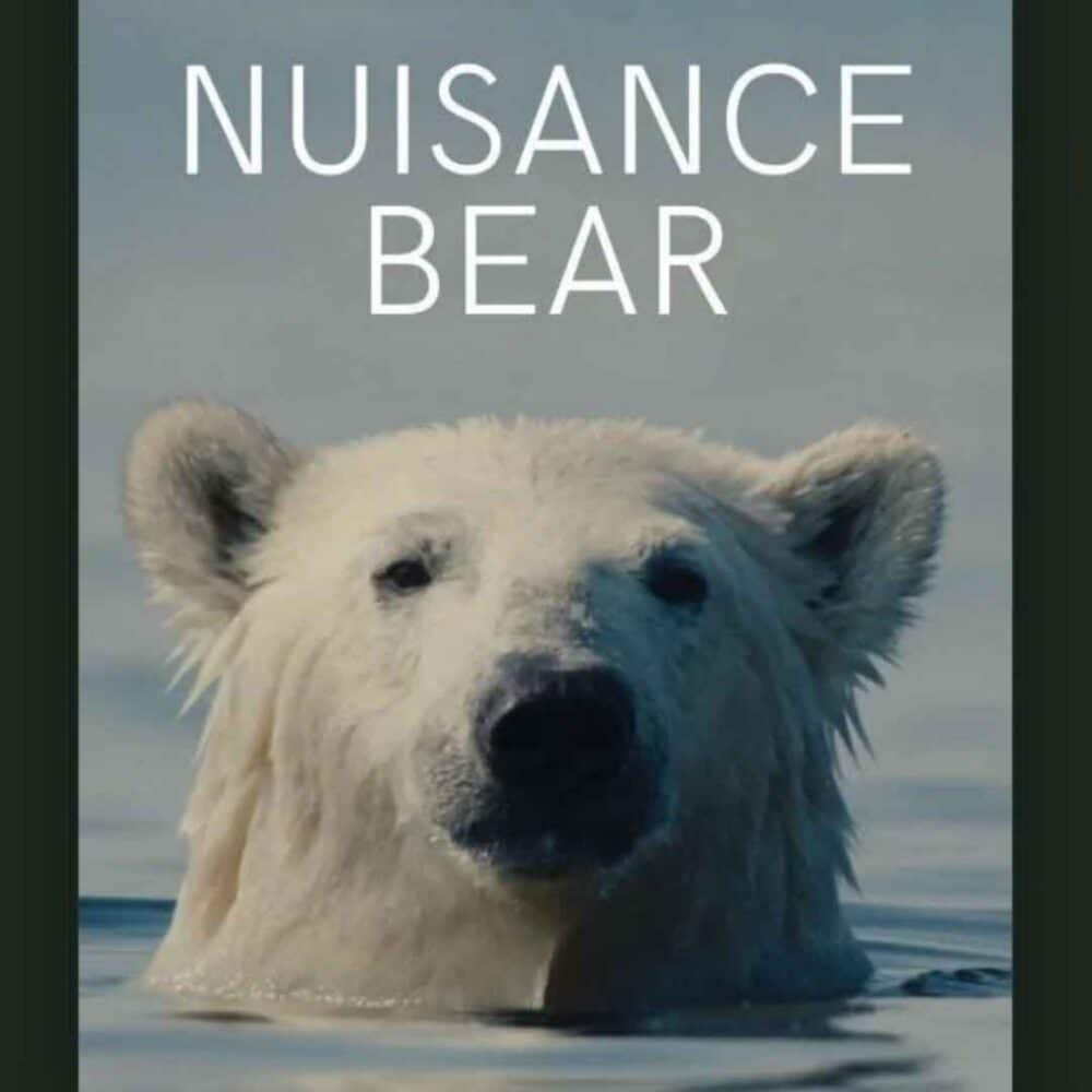 Nuisance Bear Wild & Free Film Festival