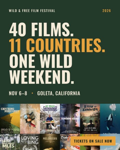 Wild and Free Film Festival 2026 Poster